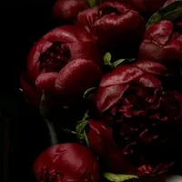Maftun