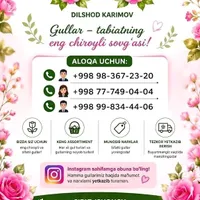 Pituniya flowers. Admini