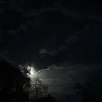 Камрон