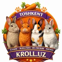 Kroll.Uz