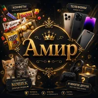 AMIR