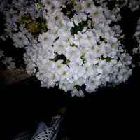 Aziza♥