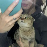 𝓫𝓮𝓻𝓭𝓲𝔂𝓪𝓻𝓸𝓿𝓷𝓪💗