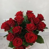 Djabborova