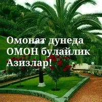 Али тел 33 946 52 72