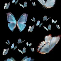 N.Sakiyna