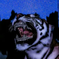shermatovsherhan4