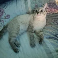 Татьяна