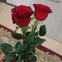 aisha_ali_hofiza