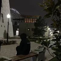 Сардор