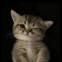 Салим