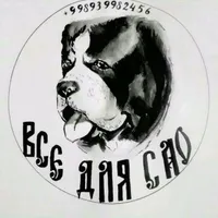 катя