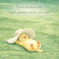 Назифe
