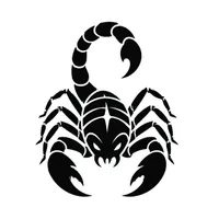 Chayan