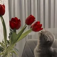 Диёра Хаитова