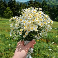 Araylim tg: @Artkbva_08