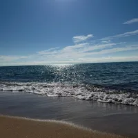 +998977078899