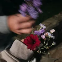 Nilufar