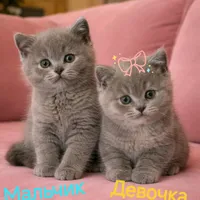 Юлия
