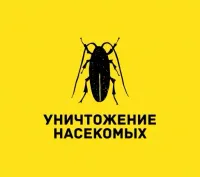 Илья