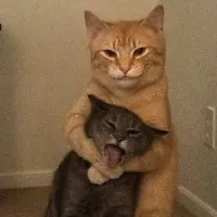 :)
