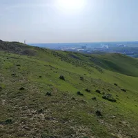Омар