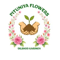 Pituniya flowers. Admini