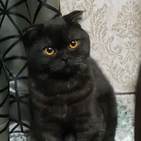 Ruslan