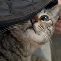 aziz