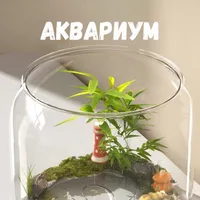 AQUA MIR akavrium