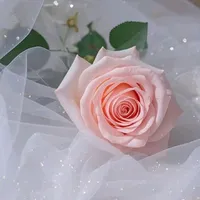 Y_M