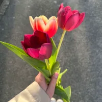 Эхтиром. 91