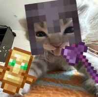 SHER_LIDER