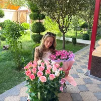 Алиса