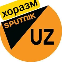 Профессионал диллер