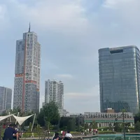 Mirodil