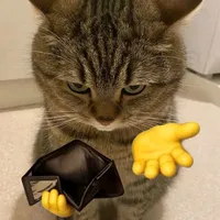 +998 871895350