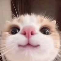 Эля