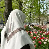 Mohidil