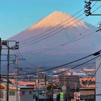 Rayhona