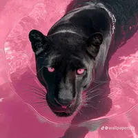 фотима