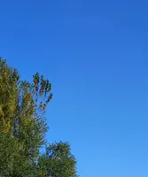 Jandarbek