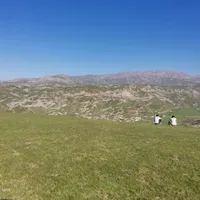 shohruh