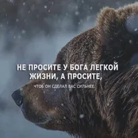 Шавкат 🇺🇿