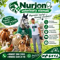 Nurjon