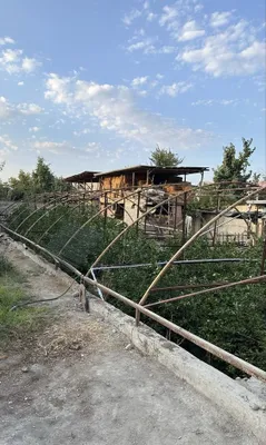Парник Лимон. 1