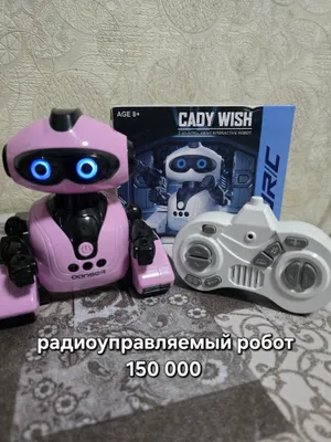 Radioboshqaruvli robot