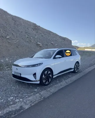Dongfeng 008, гибрид