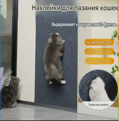 Когтеточка для кошек 1