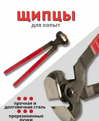 Клещи для обрезки копыт КРС (профессиональные, усиленные) 1
